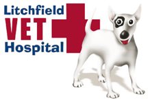 Litchfield Veterinary Hospital - Vets Adelaide 0