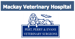 Mackay Veterinary Hospital - Vets Adelaide 0