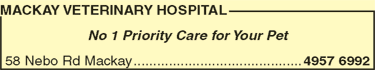 Mackay Veterinary Hospital - Vets Adelaide 1