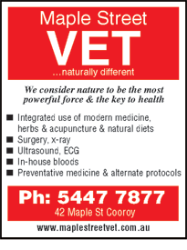 Maple Street Vet - Vets Adelaide 1