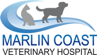 Book Palm Cove Accommodation Vacations Vets Adelaide Vets Adelaide