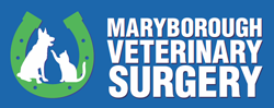 Magnolia QLD Vets Adelaide