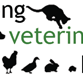 Mittagong Veterinary Hospital - Vets Adelaide