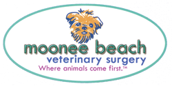 Moonee Beach Veterinary Surgery - Vets Adelaide 0