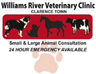 Book Morpeth Accommodation Vacations Vets Adelaide Vets Adelaide