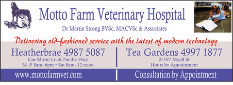 Motto Farm Veterinary Hospital - Vets Adelaide 1