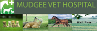 Mudgee Veterinary Hospital