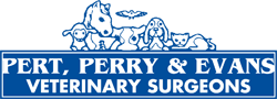 Pert, Perry & Evans Veterinary Surgeons - Vets Adelaide 0