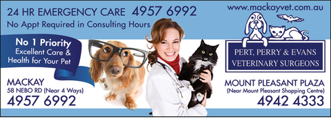 Pert, Perry & Evans Veterinary Surgeons - Vets Adelaide 1