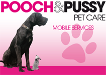 Maitland NSW Vets Adelaide