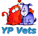 YP Vets - Vets Adelaide