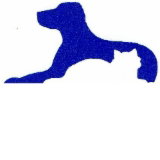 Dr Stephen Crouch, Gawler South Small Animal Hospital - Vets Adelaide 0