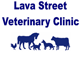 Lava Street Veterinary Clinic - Vets Adelaide