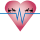 Highett Street Veterinary Hospital - Vets Adelaide