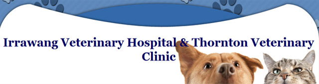 Raymond Terrace NSW Vets Adelaide