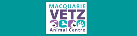 Macquarie Vetz Animal Centre - Vets Adelaide 0
