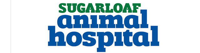 Hunter Valley NSW Vets Adelaide