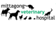 Mittagong Veterinary Hospital - Vets Adelaide
