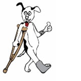 Londonderry NSW Vets Adelaide