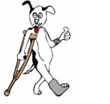 Richmond Veterinary Hospital - Vets Adelaide