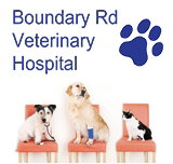 Boundary Road Veterinary Hospital Peakhurst - Vets Adelaide