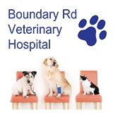 Boundary Road Veterinary Hospital Peakhurst - Vets Adelaide 0