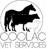 Book Canberra Accommodation Vacations Vets Adelaide Vets Adelaide