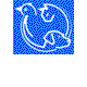 Croydon Park Veterinary Clinic & Boarding Cattery - Vets Adelaide 0