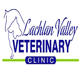 Forbes NSW Vets Adelaide