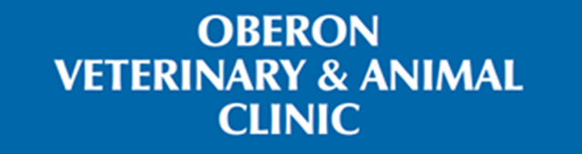 Essington NSW Vets Adelaide