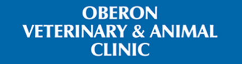 Oberon Veterinary And Animal Clinic - Vets Adelaide 0