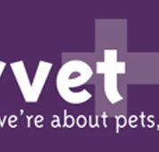 CityVet - Vets Adelaide