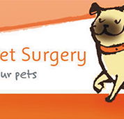 High Street Vet Surgery - Vets Adelaide