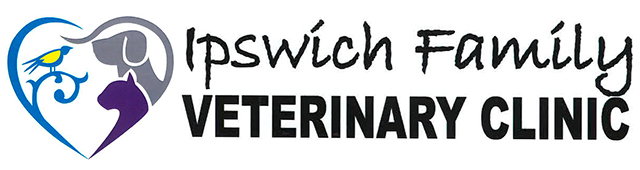 Ipswich QLD Vets Adelaide
