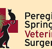 Peregian Springs Veterinary Surgery - Vets Adelaide