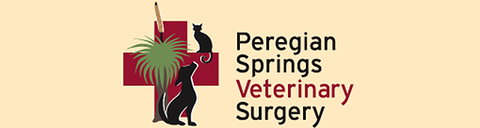 Peregian Springs Veterinary Surgery - Vets Adelaide 0