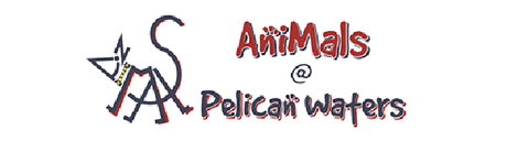 AniMals @ Pelican Waters - Vets Adelaide 0