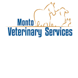 Kapaldo QLD Vets Adelaide