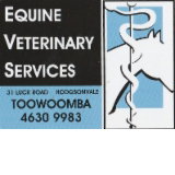 Equine Veterinary Services