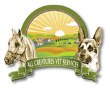 All Creatures Veterinary Services - Vets Adelaide 0