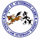 Albert Street Veterinary Clinic - Vets Adelaide