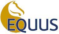 Equus Muscle Management - Vets Adelaide 0