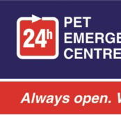 Animal Accident  Emergency Point Cook - Vets Adelaide