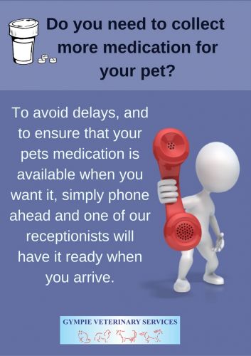 Gympie Veterinary Services - Vets Adelaide 0