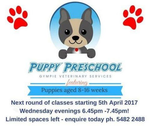 Gympie Veterinary Services - Vets Adelaide 1