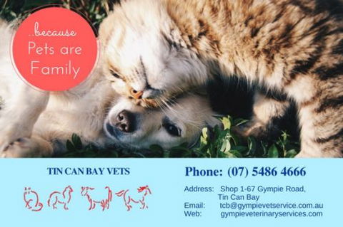 Gympie Veterinary Services - Vets Adelaide 3