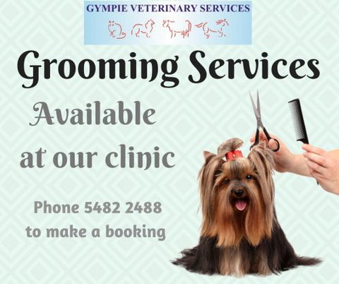 Gympie Veterinary Services - Vets Adelaide 4