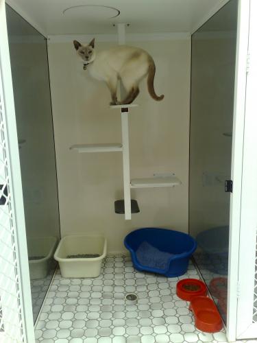 Rathmines Veterinary Hospital - Vets Adelaide 3