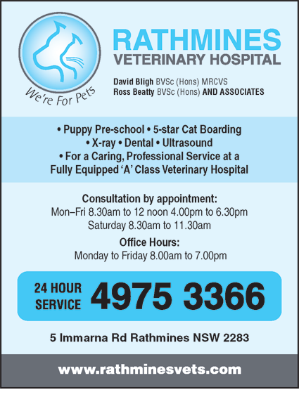 Rathmines Veterinary Hospital - Vets Adelaide 4