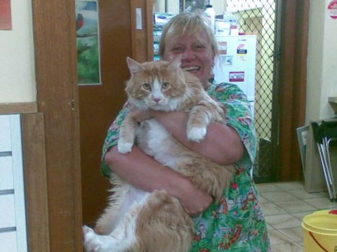 Raymond Terrace Veterinary Clinic - Vets Adelaide 2